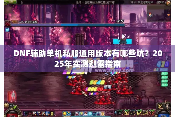 DNF辅助单机私服通用版本有哪些坑？2025年实测避雷指南