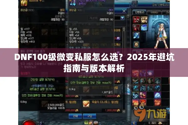 DNF100级微变私服怎么选？2025年避坑指南与版本解析
