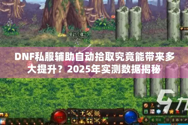 DNF私服辅助自动拾取究竟能带来多大提升？2025年实测数据揭秘