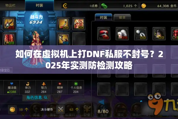 如何在虚拟机上打DNF私服不封号？2025年实测防检测攻略