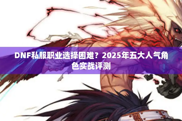 DNF私服职业选择困难？2025年五大人气角色实战评测