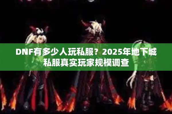 DNF有多少人玩私服？2025年地下城私服真实玩家规模调查