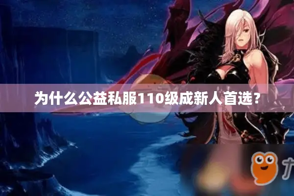 为什么公益私服110级成新人首选？