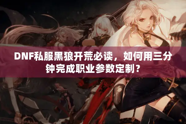 DNF私服黑狼开荒必读，如何用三分钟完成职业参数定制？