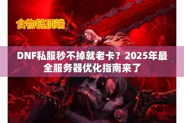 DNF私服秒不掉就老卡？2025年最全服务器优化指南来了