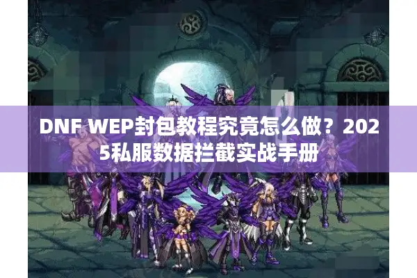 DNF WEP封包教程究竟怎么做？2025私服数据拦截实战手册