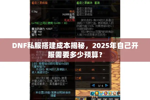 DNF私服搭建成本揭秘，2025年自己开服需要多少预算？