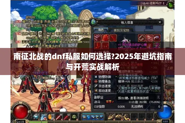 南征北战的dnf私服如何选择?2025年避坑指南与开荒实战解析