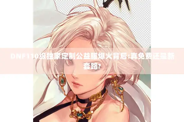 DNF110级独家定制公益服爆火背后:真免费还是新套路?