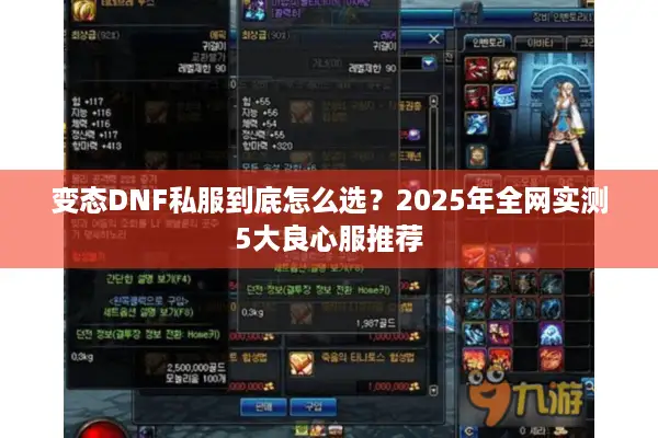 变态DNF私服到底怎么选？2025年全网实测5大良心服推荐