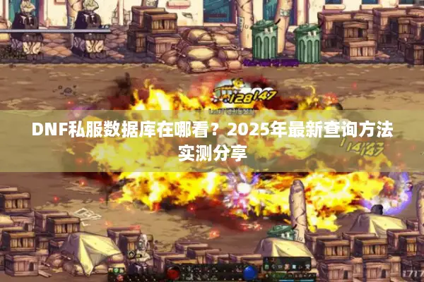 DNF私服数据库在哪看？2025年最新查询方法实测分享