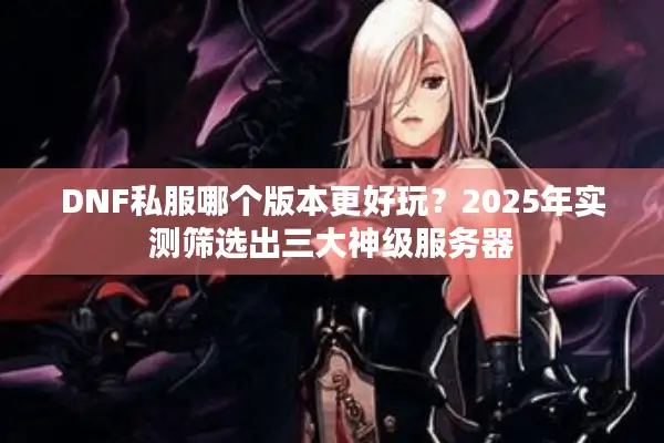 DNF私服哪个版本更好玩？2025年实测筛选出三大神级服务器