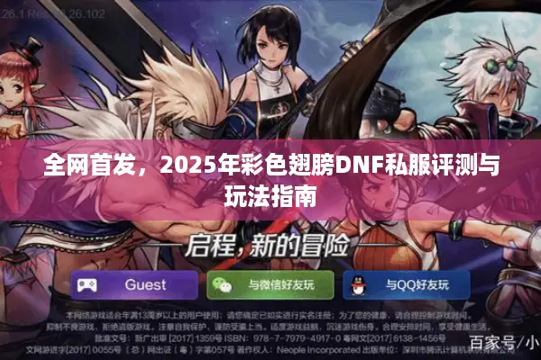 全网首发，2025年彩色翅膀DNF私服评测与玩法指南