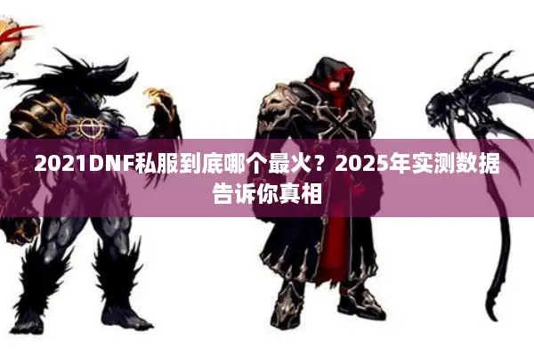 2021DNF私服到底哪个最火？2025年实测数据告诉你真相