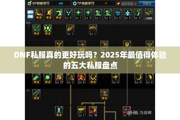 DNF私服真的更好玩吗？2025年最值得体验的五大私服盘点