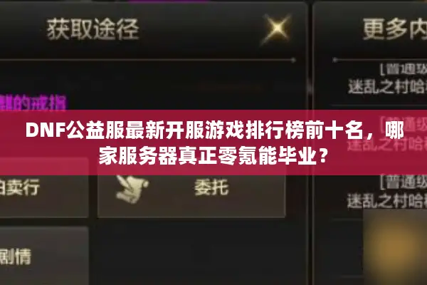DNF公益服最新开服游戏排行榜前十名，哪家服务器真正零氪能毕业？