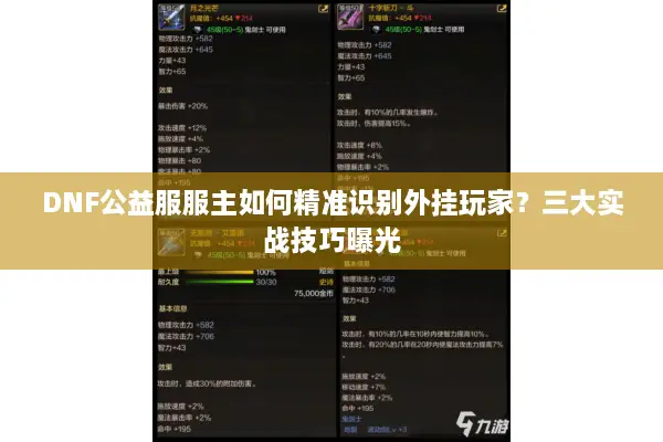 DNF公益服服主如何精准识别外挂玩家？三大实战技巧曝光