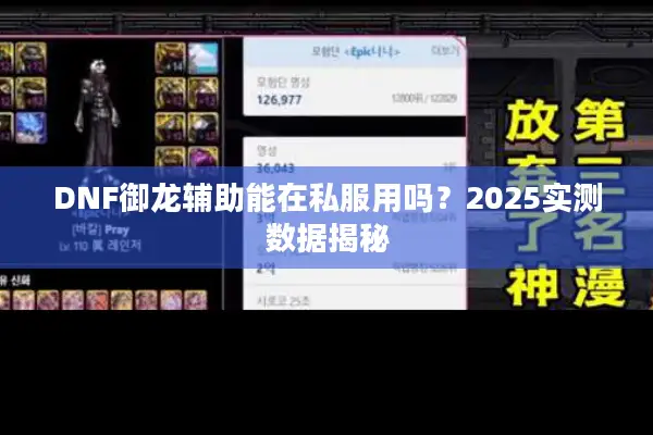 DNF御龙辅助能在私服用吗？2025实测数据揭秘